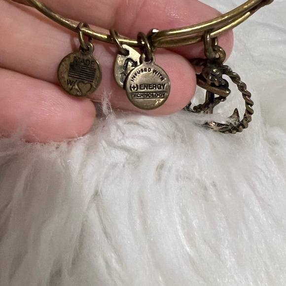 Alex and Ani Anchor with Rope in Rafaelian Gold - Picture 6 of 7